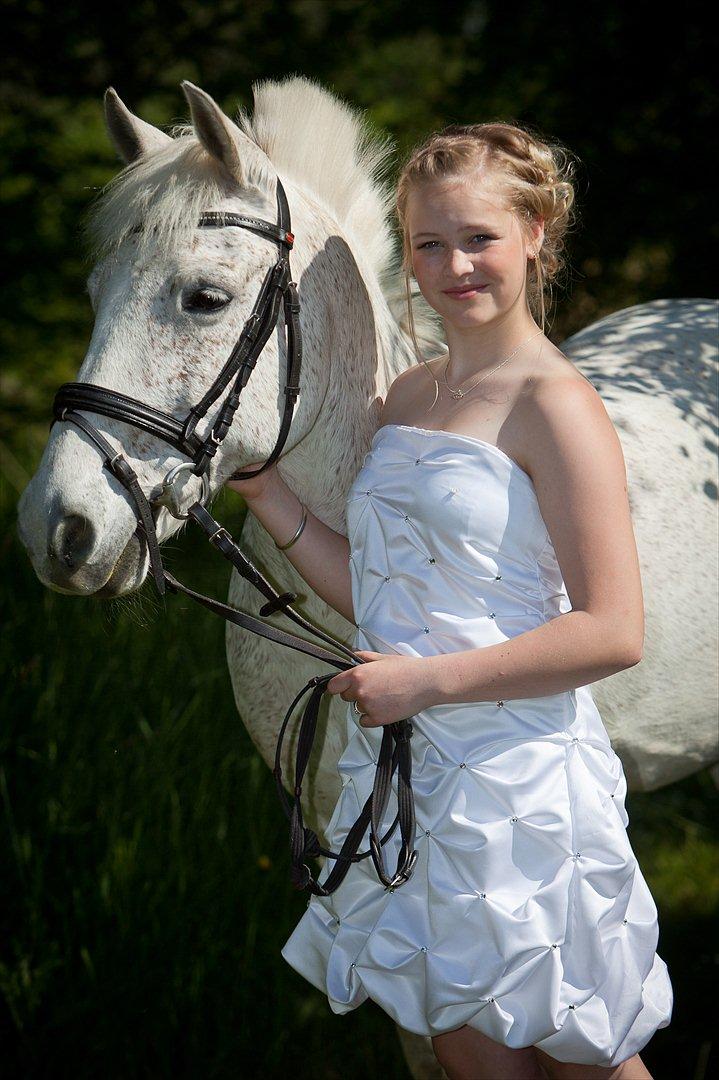 Anden særlig race Micky | Min ponymus <3 billede 11