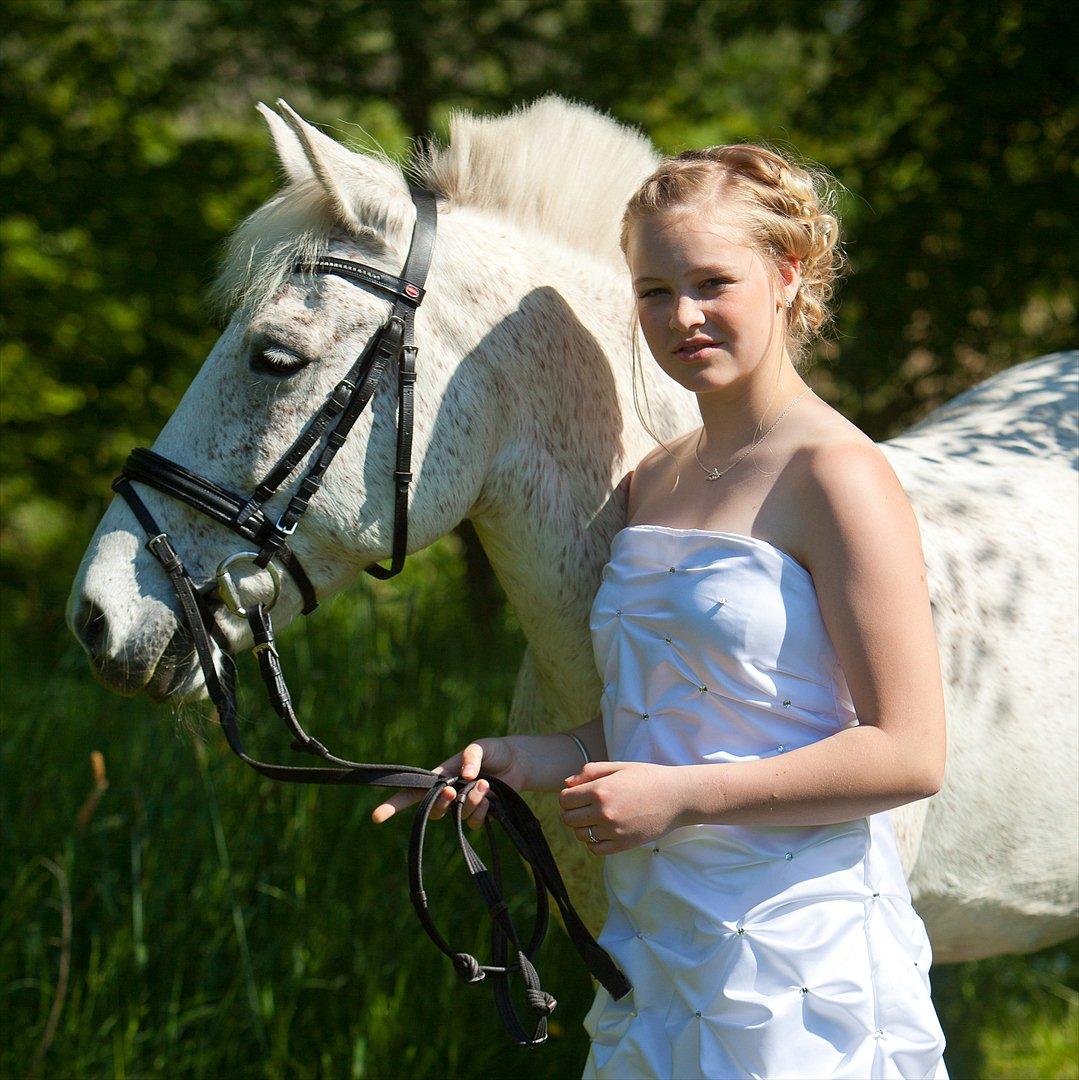 Anden særlig race Micky | Min ponymus <3 billede 7