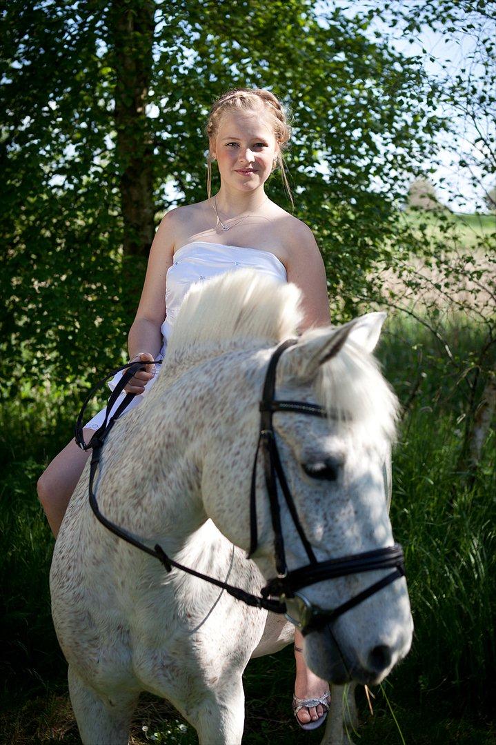 Anden særlig race Micky | Min ponymus <3 billede 15