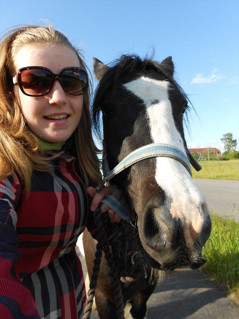 Irish Cob Pfuff    (Bandit<3) - Mig og Skønne Pfuff på tur :)<3

Taget af: mig selv :) billede 16