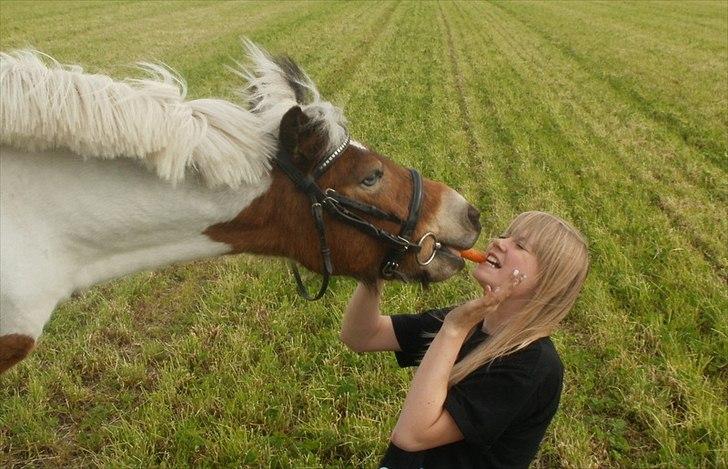 Anden særlig race KIKI BABY - Vores sidste dag sammen.. Jeg elsker dig.<3 billede 18
