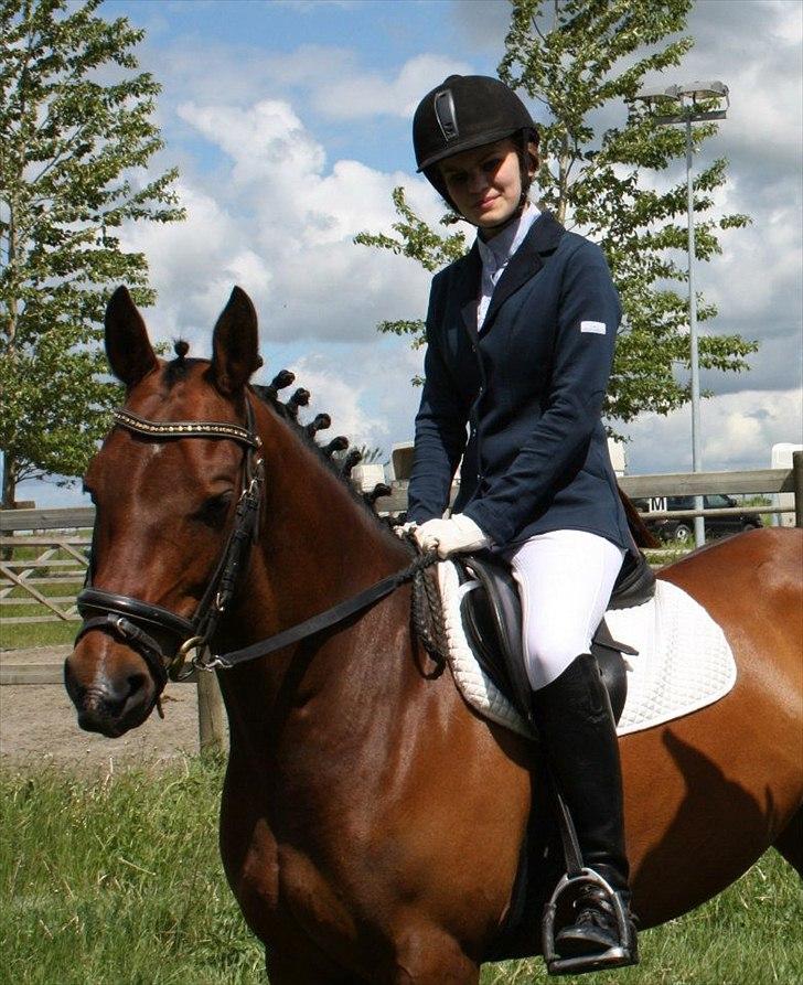 Tysk Sportspony Holsteins Jovenca<3 billede 9