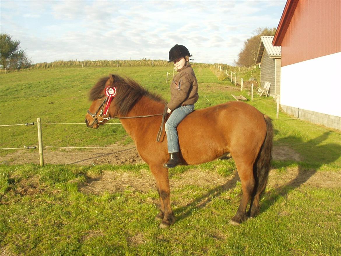 Islænder Kjartan fra Laven billede 17