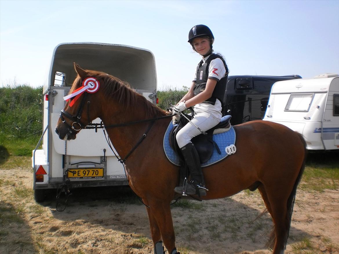 New Forest Clyde - Kitana og Clyde vandt LE med 0 fejl i omspringningen billede 17