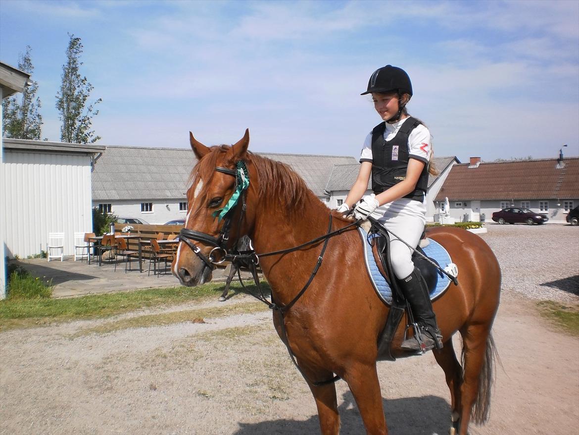 New Forest Clyde - U-roset i LF i Næstildgård billede 19