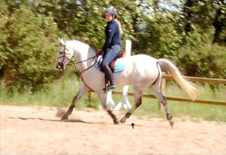 DSP Fabiola billede 6