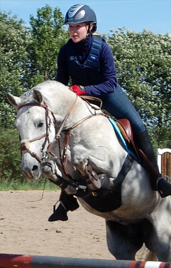 DSP Fabiola billede 1