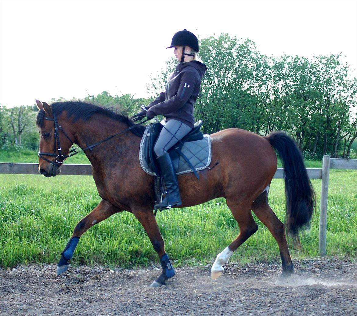 DSP BROWN COTTON NG - SOLGT - Juni 2012 billede 13