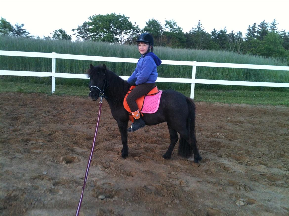 Shetlænder Olivia Drømmeponyen! <3:* - Maria oppe på Olivia for første gang :-)<3 billede 18