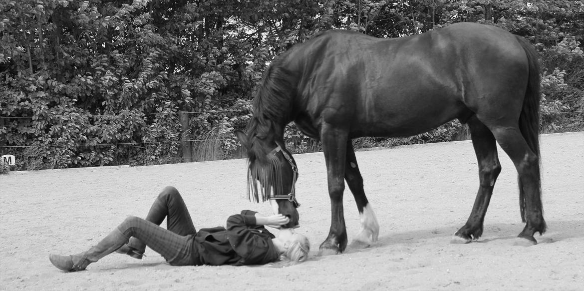 Anden særlig race Poseidon billede 18