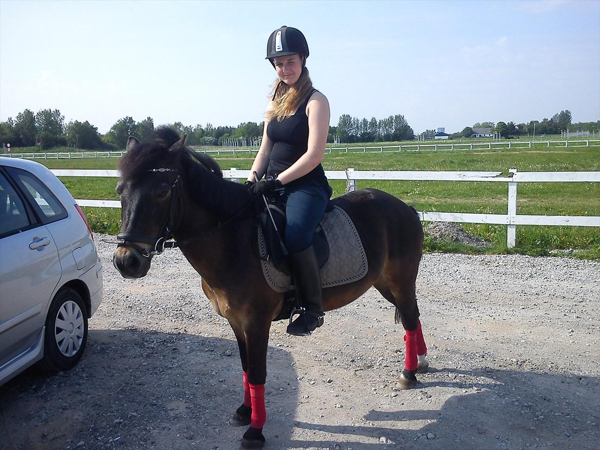 Anden særlig race Kløvermaken`s Hudini billede 12