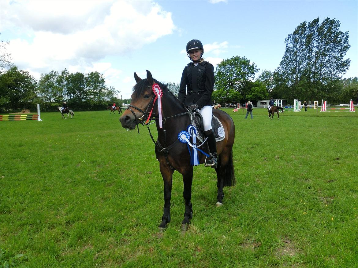 New Forest Glenwood Maple Hill - Super seje Maple :D<3
1plads i LD med over 12sek til 2pladsen :D<3
2plads i LD Klubcup med 1sek ca til 1pladsen :)<3
Lidt sej er man vel altid<3
D. 2-6-2012 billede 6