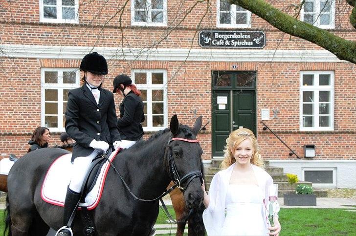 Anden særlig race Alladin - Alladin og mig på min konfirmation, og Matilde der var så sød at ride ham derned! <3  billede 16