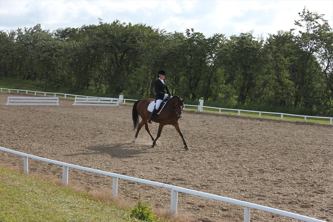 DSP Fontaine billede 8