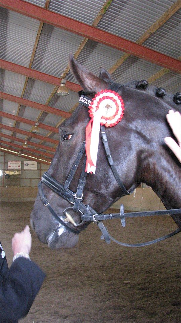 Anden særlig race Mosegaards El Diablo - Rød roset! ^_^♥ billede 3