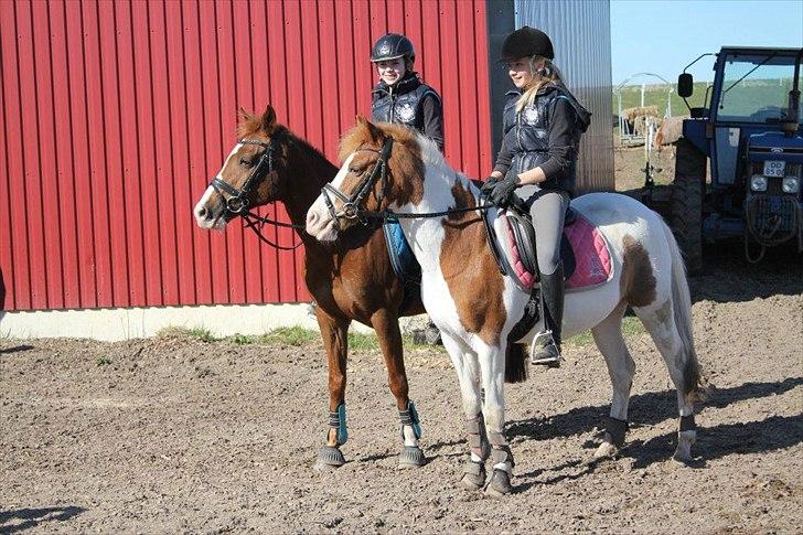 DSP Markant. SOLGT! - Savner vores gode minder sammen med Julie og Stella :-) billede 2