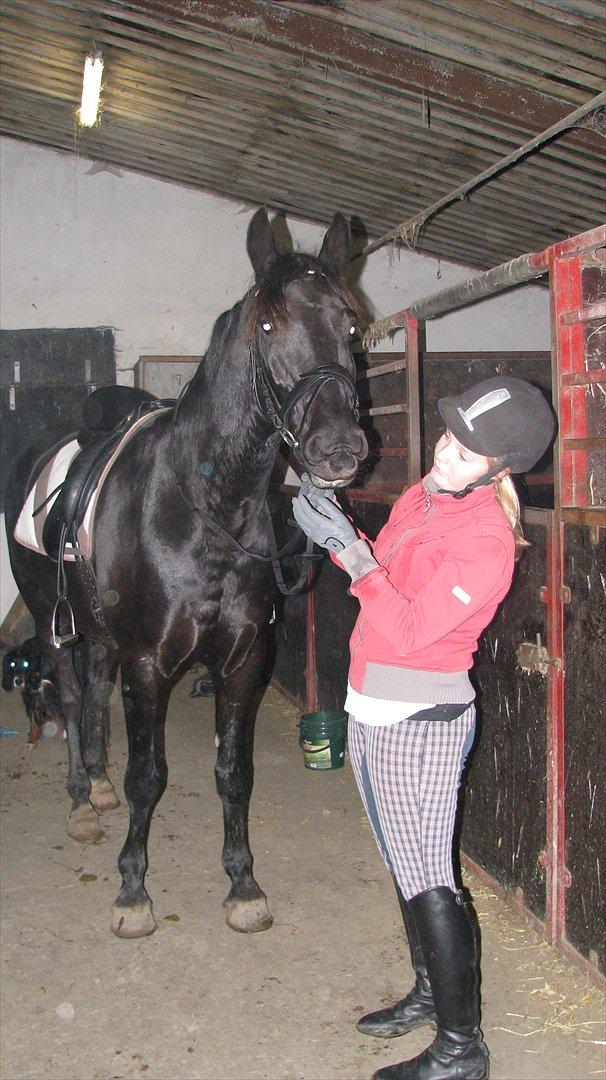 Anden særlig race Mosegaards El Diablo billede 10