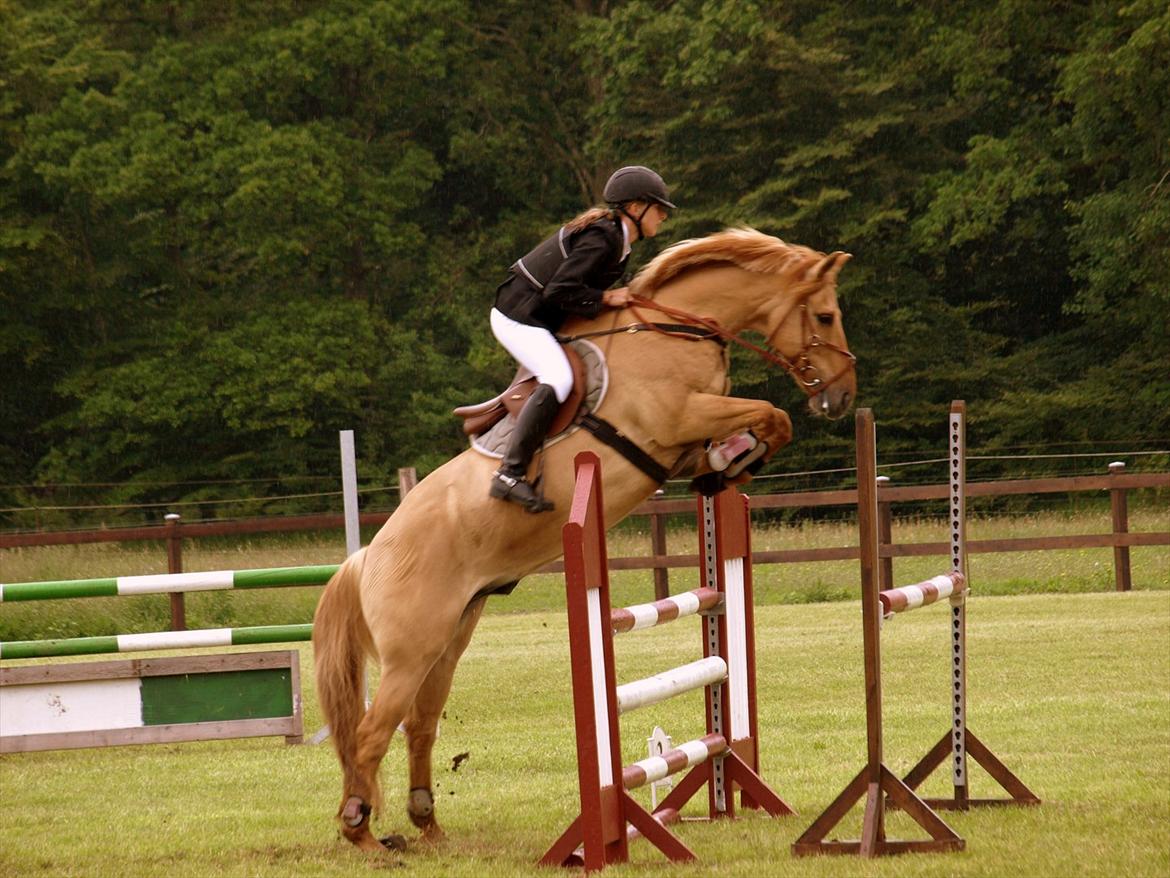 Anden særlig race Golden Dane aka. Bailey - Sofie og Bailey. Stævne på Vasehus.
Juni 2011
Taget af Kasper K. Søderberg billede 20