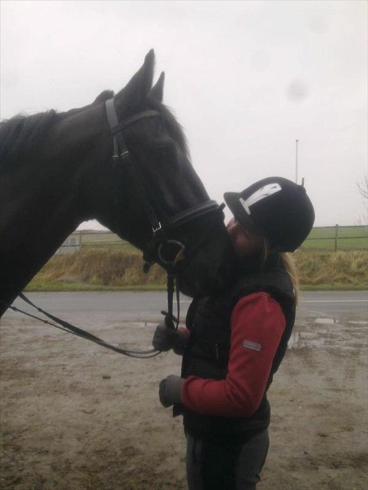 Anden særlig race Mosegaards El Diablo billede 2