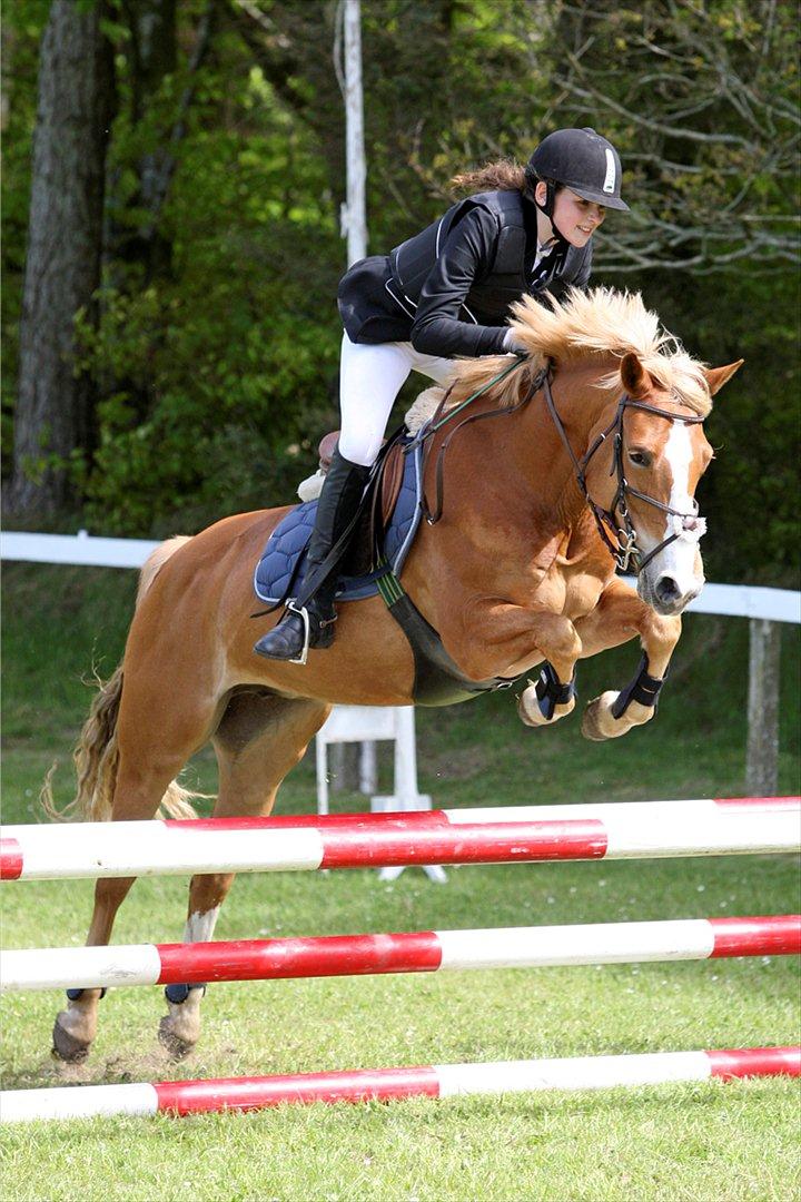 Anden særlig race Erantis - Morsø 2012
Søøde Pony!<3 billede 10