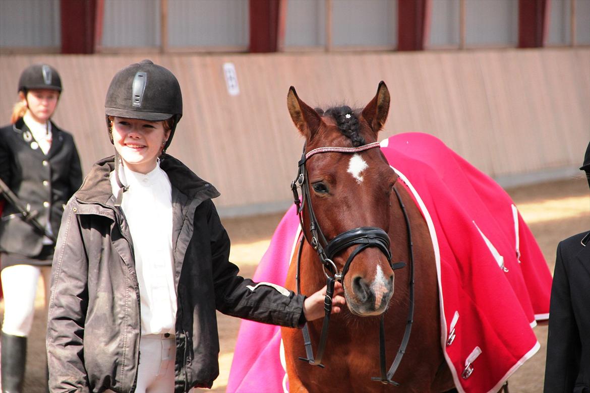 Anden særlig race Pingo billede 3