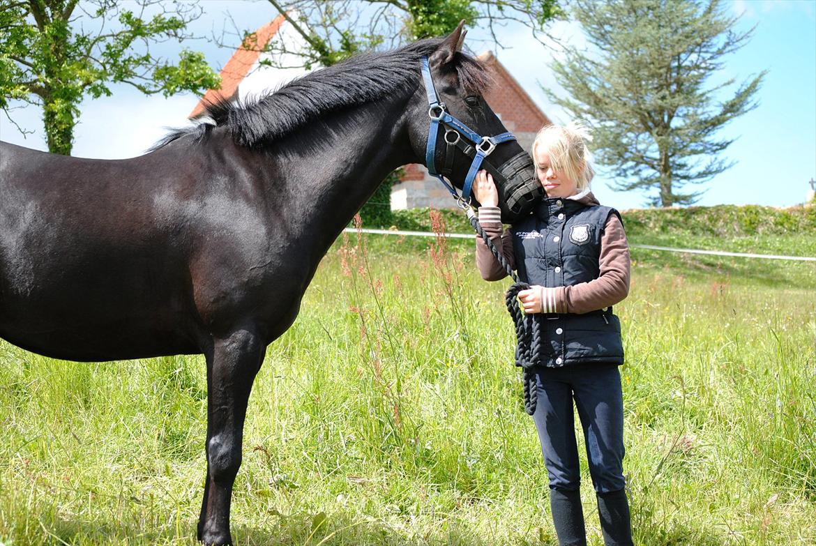 Anden særlig race Diablo - Diablo og jeg på folden på Diablos sidste dag på LIND. [Foto; mor med mit kamera] billede 18