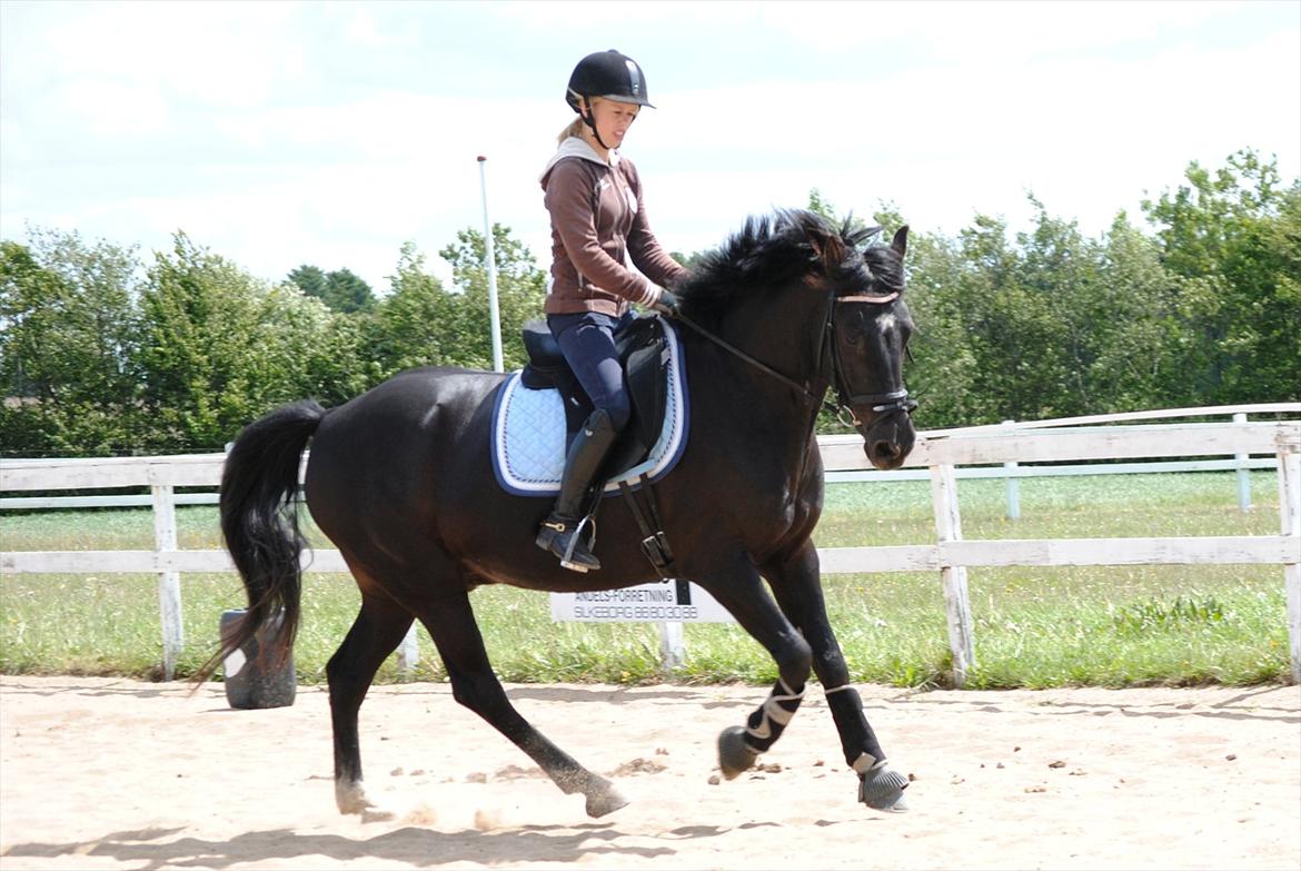 Anden særlig race Diablo - Vores sidste tur sammen.. Elsker den pony! [Foto: mor med mit kamera] billede 7