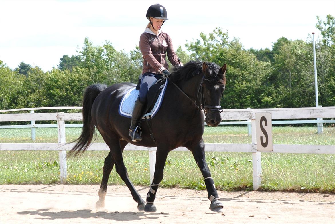 Anden særlig race Diablo - Vores sidste tur sammen.. Elsker den pony! [Foto: mor med mit kamera] billede 19