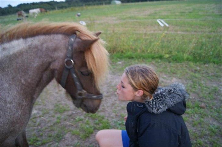 Anden særlig race Nanna billede 3