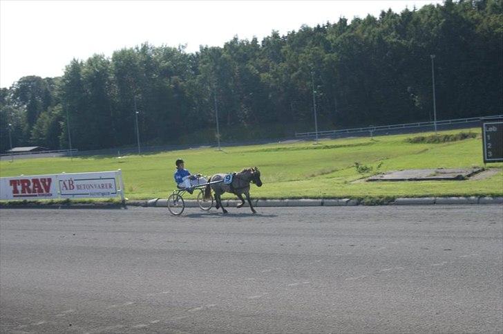 Anden særlig race Nanna billede 6