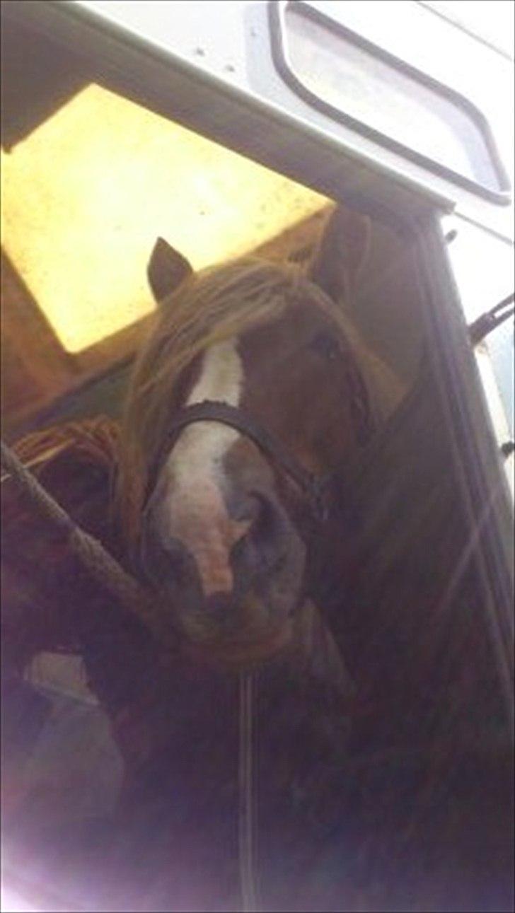 Jyde Holger - Stand behind me and catch me if I fall 
– I need you !<3 billede 19