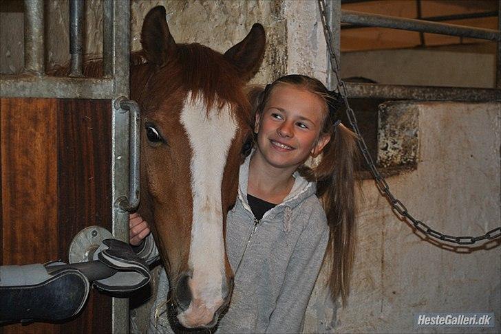 Anden særlig race Passir <3 <3 - foto: Emílie R ;-) billede 9