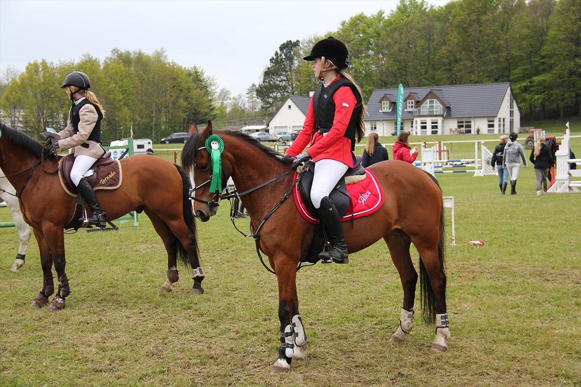 Hollandsk Sportspony Álice - Mosø 2012. Præmieoverrakelse til LA2** 4. plads Foto: Lykke Godskesen billede 20