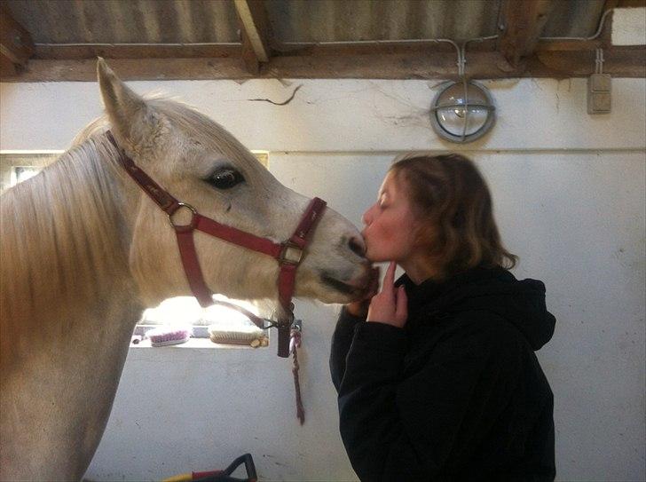 Anden særlig race Savannah - myssaaaar ;) billede 12