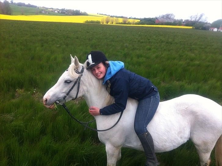 Anden særlig race Savannah billede 14