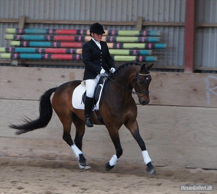Dansk Varmblod Stald Mejses Cordell - Stævne d. 2.6.2012
Fotograf Bianca Petersen billede 10