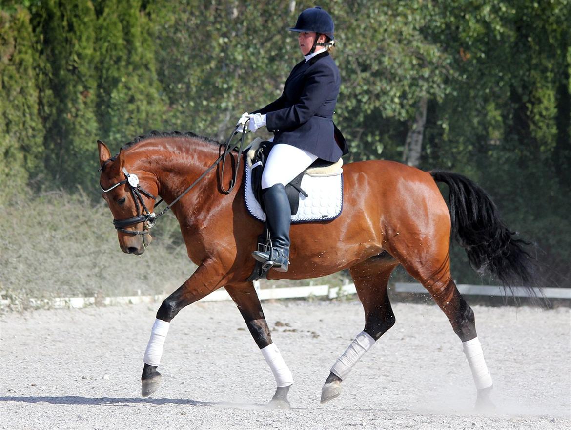 Dansk Varmblod Holstegårds Picachia  - Pips og Anne til stævne i Boller, 1.plads med 67,5% - Juni 2012 billede 17