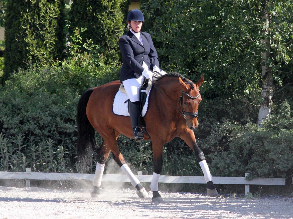 Dansk Varmblod Holstegårds Picachia  - Pips og Anne til stævne i Boller, 1.plads med 67,5% <3 - Juni 2012 billede 18