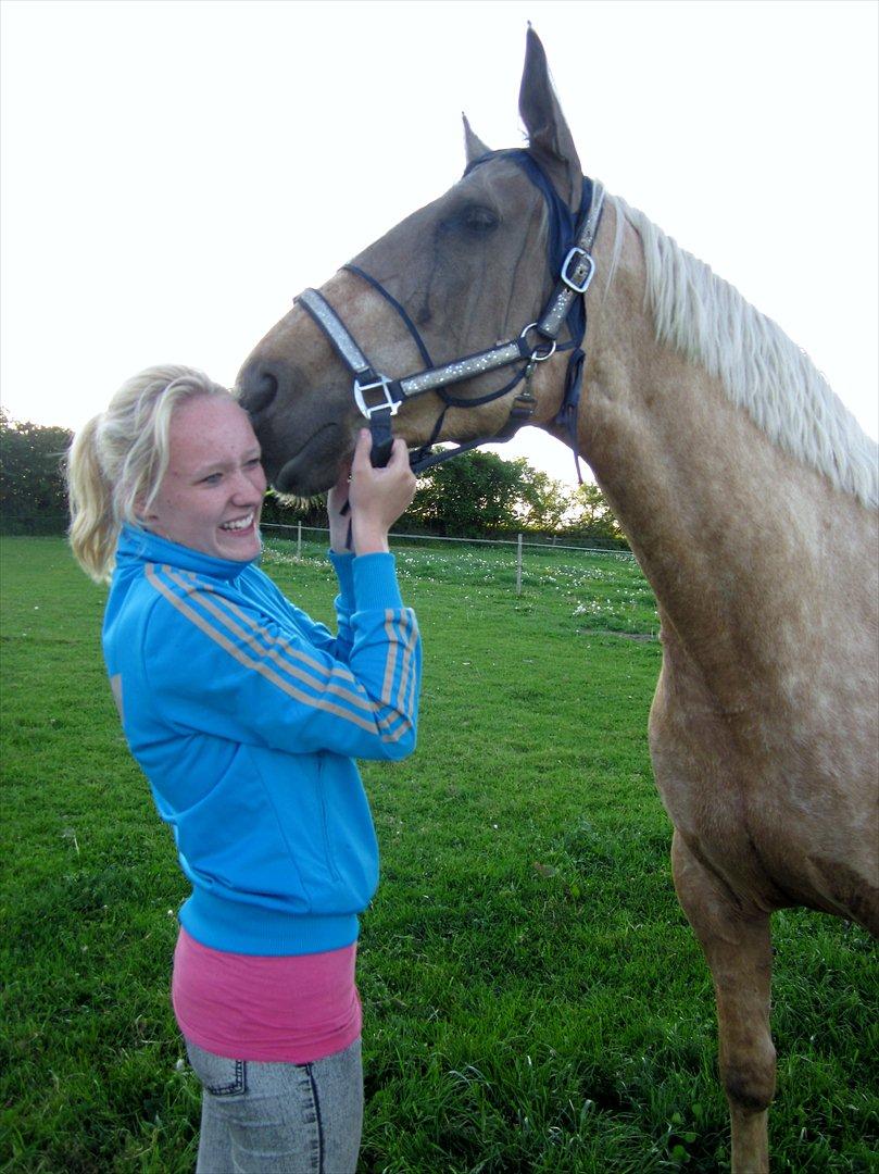 Palomino Axélls Bette Davis - Du er så dejlig!!
Om aften, samme dag som jeg fik hende hjem <3 billede 13
