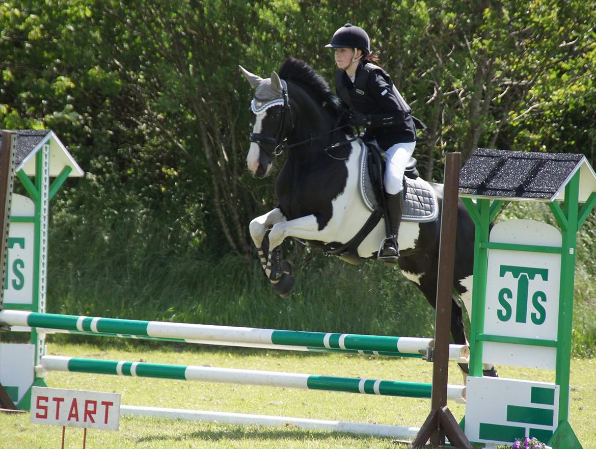 Pinto Lyngholms Maddie<3 B-pony - d. 03-06-12
Vores første springstævne!
 billede 9