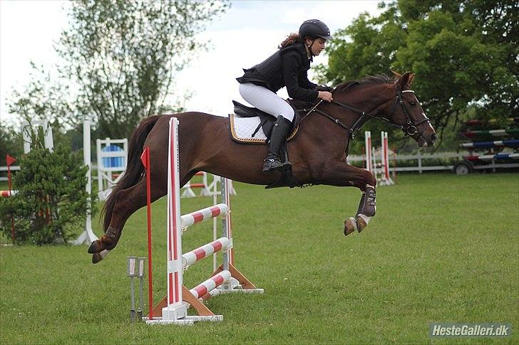 DSP Hope - Killerup, LB**, 2012 billede 1