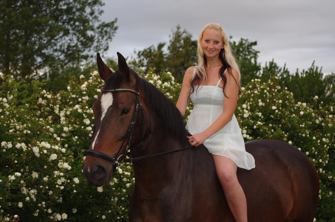 Oldenborg Rosenhavens Sindi - fotoshoot maj 2012  billede 14