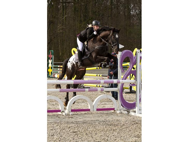 {{currentPhoto.altText}} billede {{currentPhoto.number}}