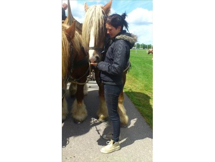 {{currentPhoto.altText}} billede {{currentPhoto.number}}