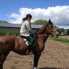 Oldenborg Sonny  <3 Savner min piige!