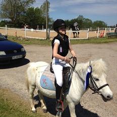 Anden særlig race R.I.P. my soulmate obelix :'(