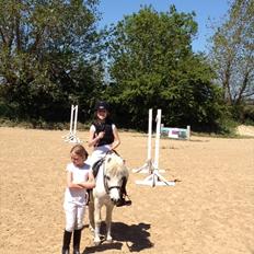 Anden særlig race R.I.P. my soulmate obelix :'(