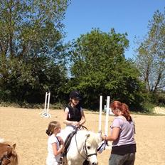 Anden særlig race R.I.P. my soulmate obelix :'(