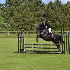 Oldenborg stidsbjergs Meta *SOLGT*