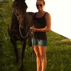 Anden særlig race Fromsmindes Kazmir